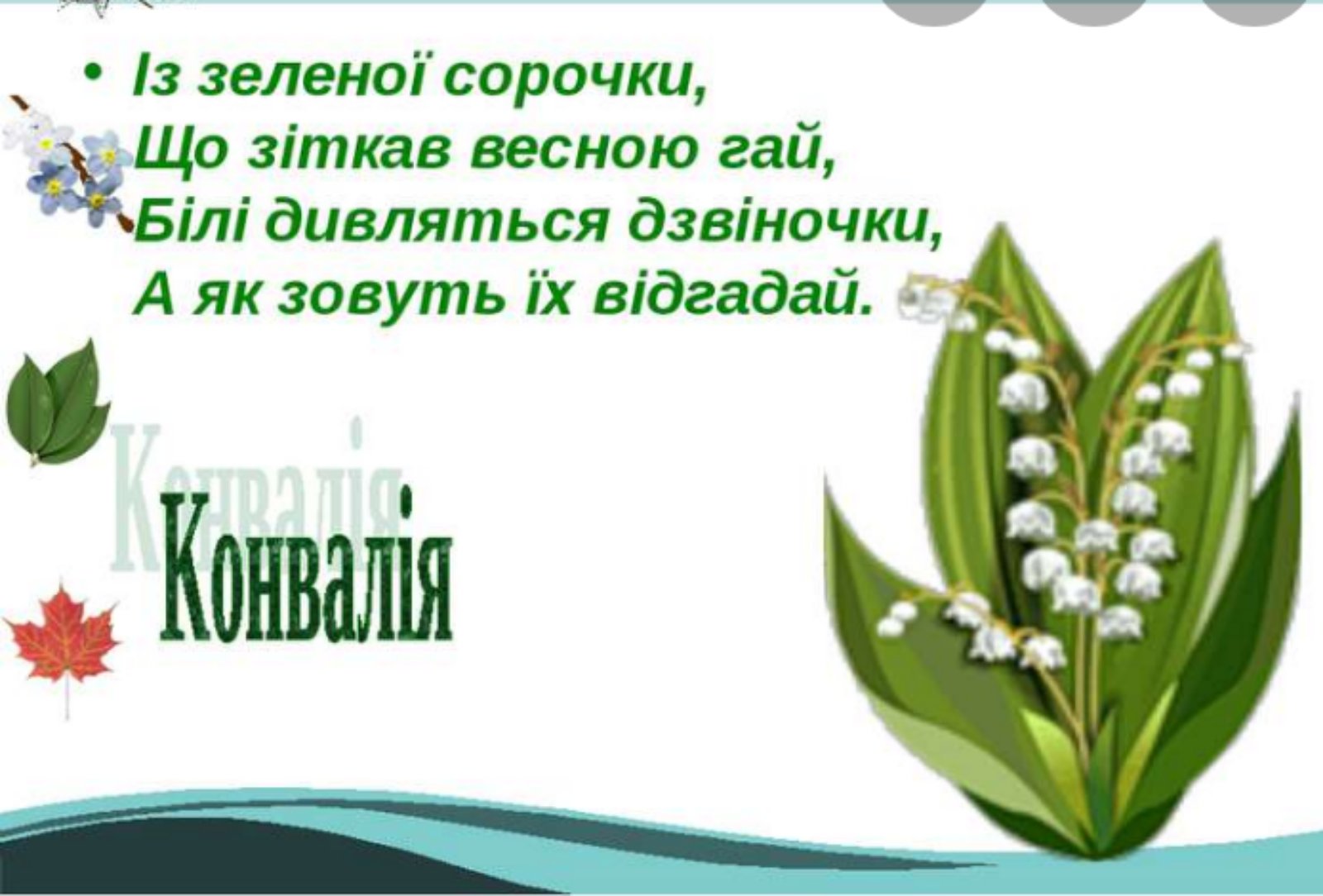 Белорусские загадки. Загадки на українській мові Весна. Із зеленої сорочки що зіткав весною Гай. Загадка про весну українською. Загадки про квіти на українській мові.